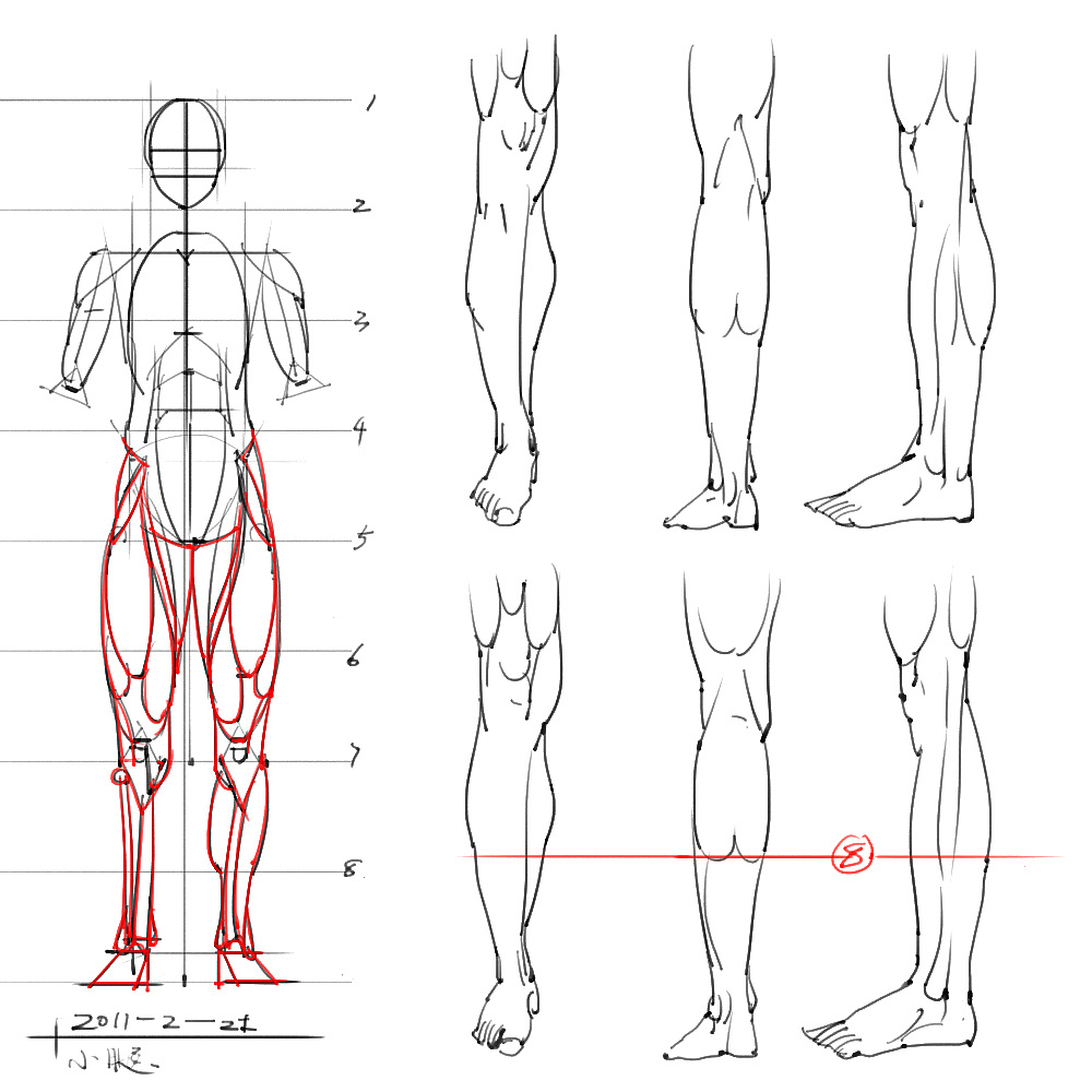 「动漫设计」分享一波绘画专用人体解剖素材 part 05