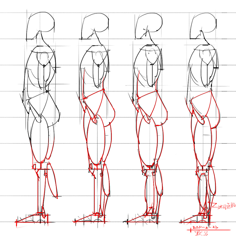 「动漫设计」分享一波绘画专用人体解剖素材 part 05