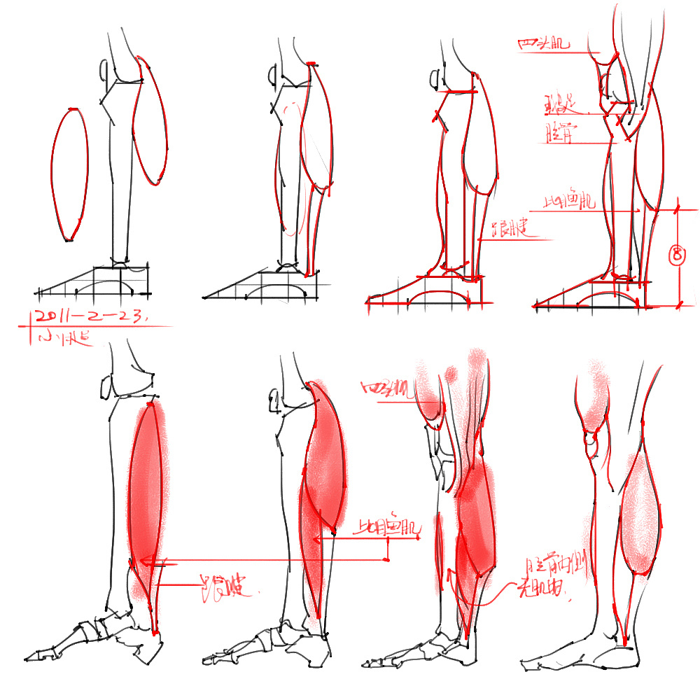 「动漫设计」分享一波绘画专用人体解剖素材 part 05