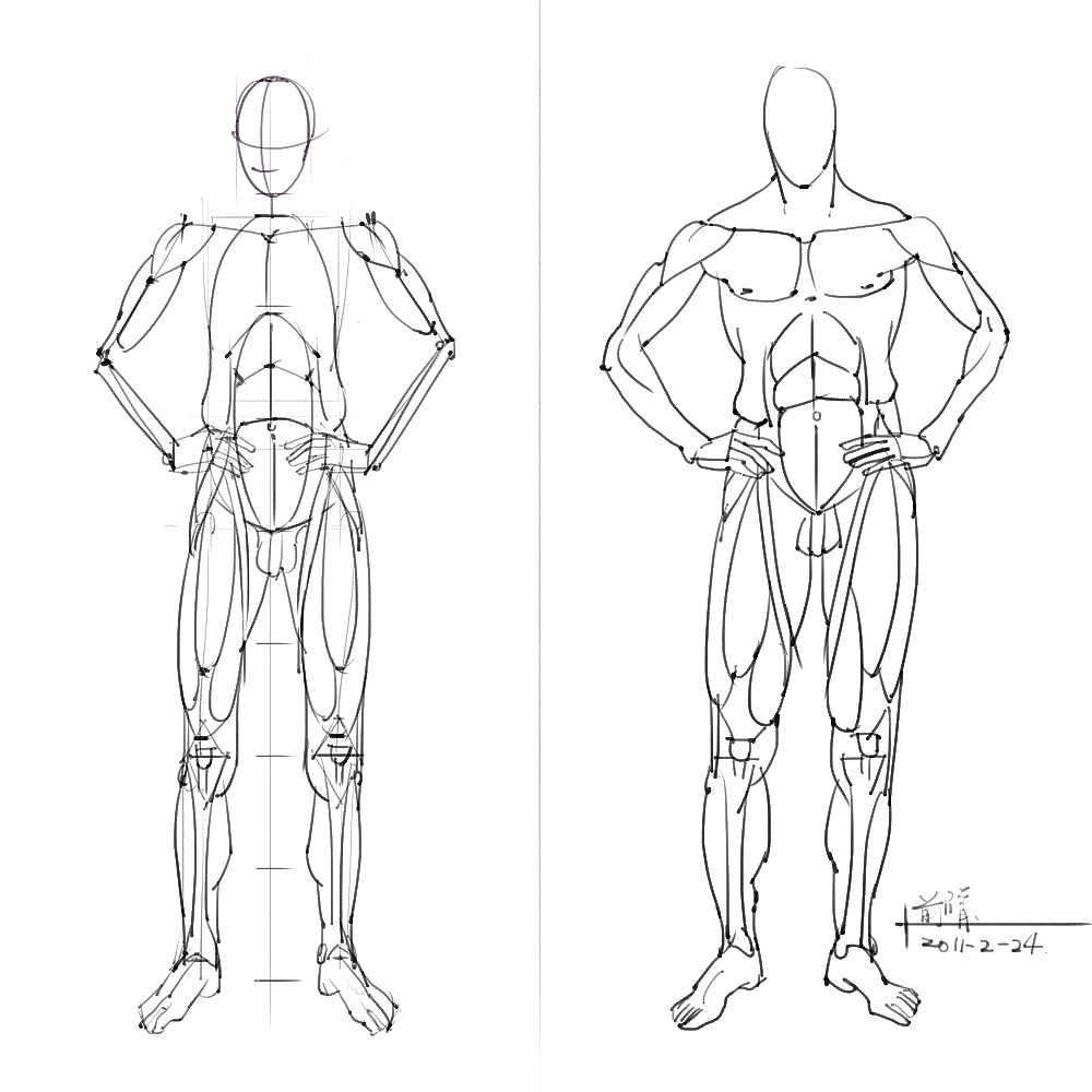 「动漫设计」分享一波绘画专用人体解剖素材 part 05