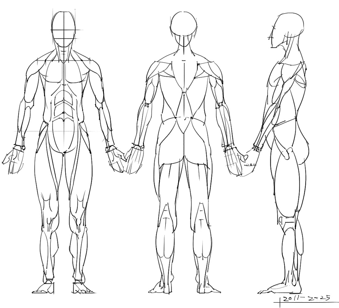 「动漫设计」分享一波绘画专用人体解剖素材 part 05