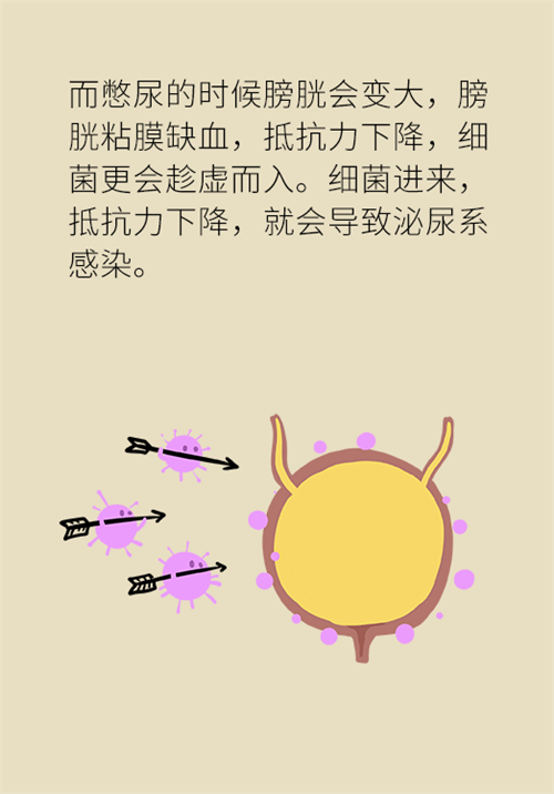 憋尿的7大危害，你真的了解吗？
