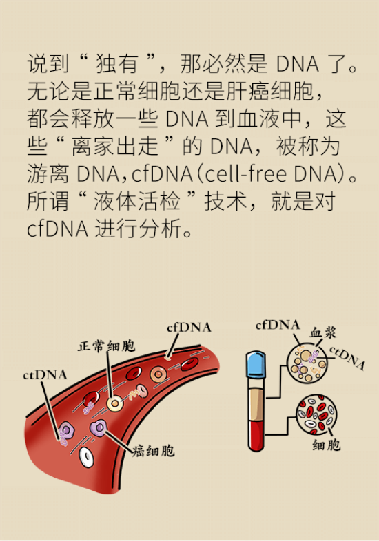 论发现早期肝癌的本事，cfDNA比AFP更精准，比影像学更早一步