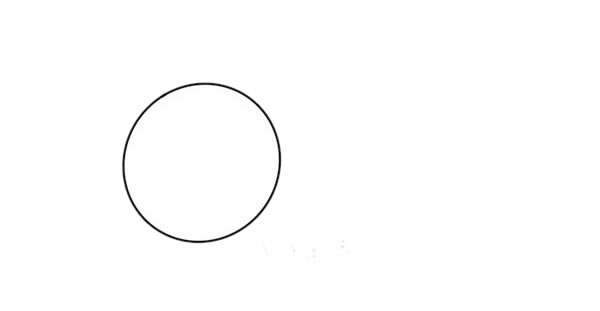 七星瓢虫怎么画呢,七星瓢虫手绘的画法步骤 七星瓢虫简笔画彩色画法 可爱瓢虫简笔画步骤图解教程