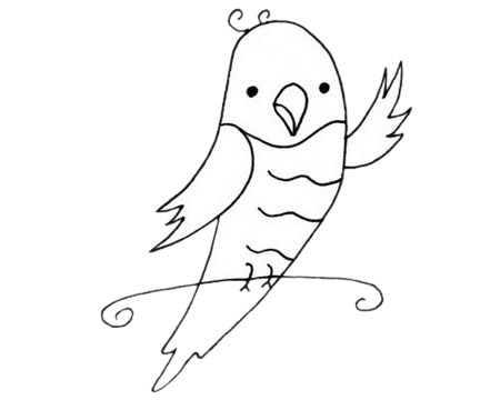 鹦鹉怎么画?鹦鹉手绘画法 卡通鹦鹉简笔画图片