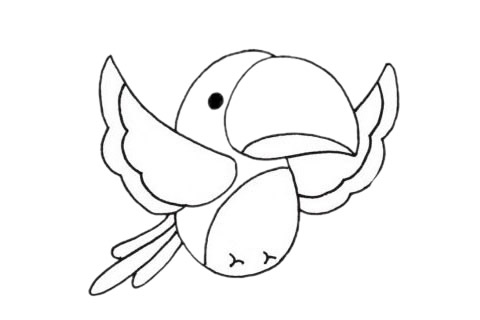 卡通鹦鹉简笔画图片