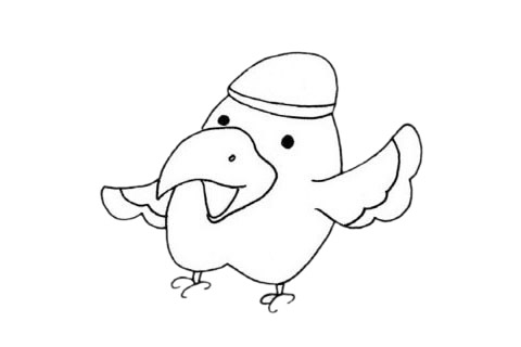 鹦鹉怎么画?鹦鹉手绘画法 鹦鹉简笔画图片