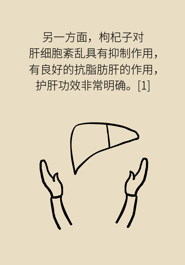 成天喝着枸杞茶,它真的适合你吗? 成天喝着枸杞茶,它真的适合你吗?