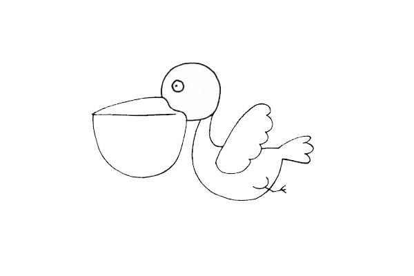 鹈鹕怎么画呢?鹈鹕手绘画法步骤教程 鹈鹕简笔画图片
