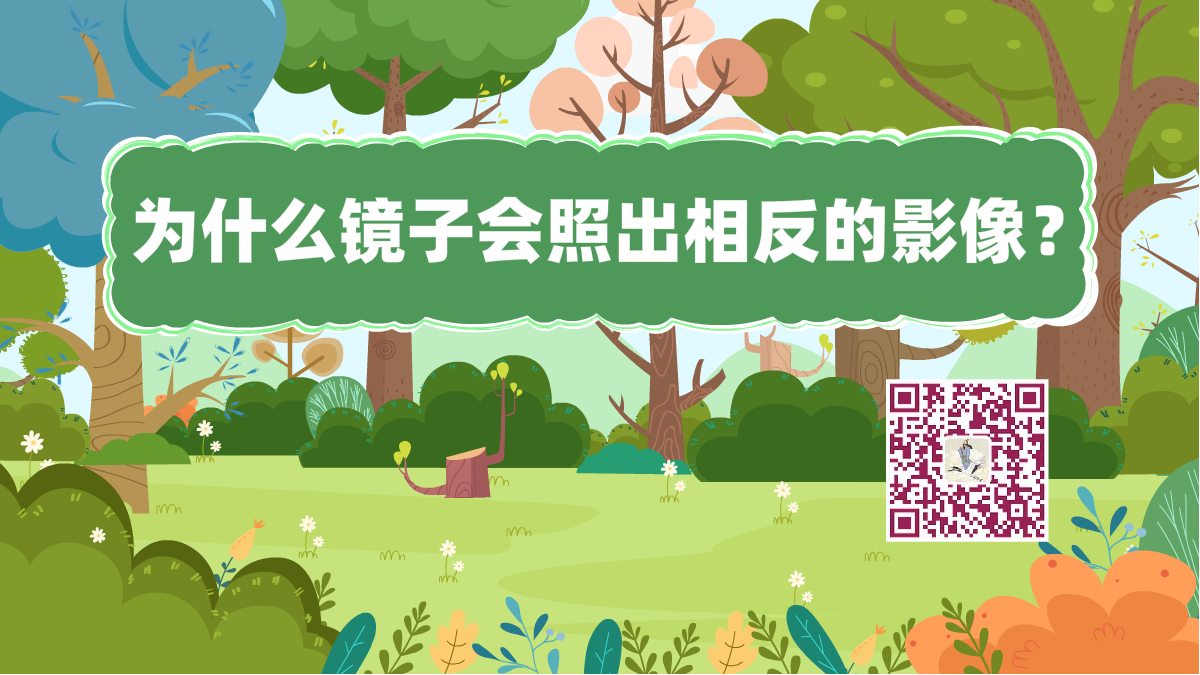 十万个为什么标题（镜子影像）1200.png