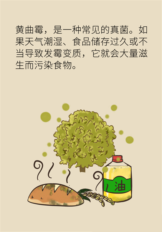 大米食油里也有致癌毒素，专家教你如何避开它