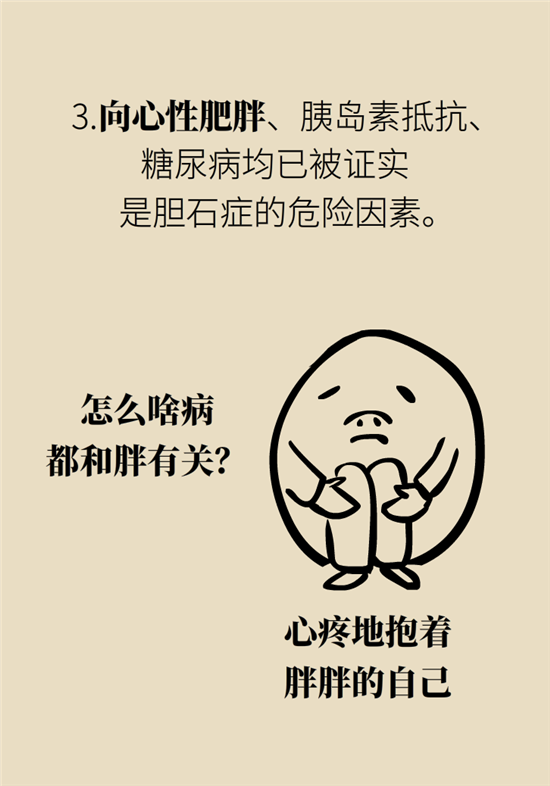 胆结石主要成分竟是胆固醇？预防它只需四个字