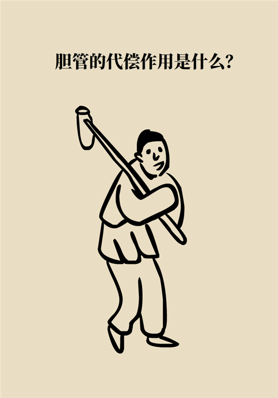 胆结石主要成分竟是胆固醇？预防它只需四个字
