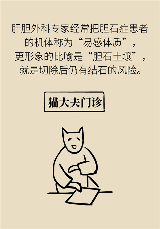 胆结石主要成分竟是胆固醇？预防它只需四个字