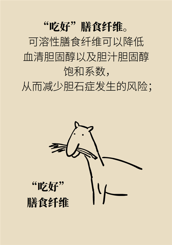 胆结石主要成分竟是胆固醇？预防它只需四个字