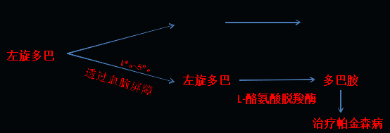同样的药,为什么对他有效却对你没效果,可能得问肠道菌群 同样的药,为什么对他有效却对你没效果,可能得问肠道菌群