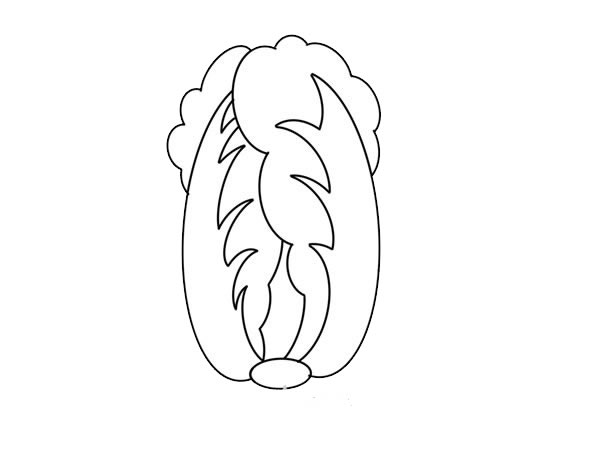 大白菜怎么画?大白菜手绘的画法步骤教程 大白菜怎么画简单漂亮 大白菜简笔画步骤图解教程