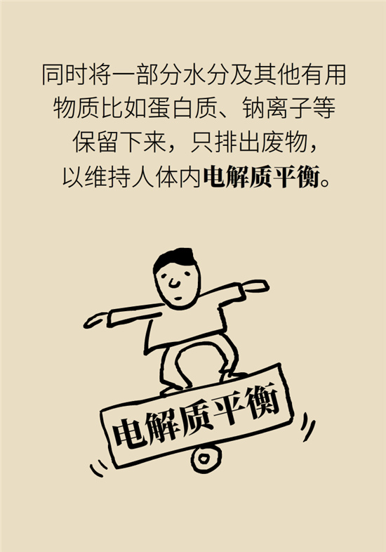 经常憋尿会得急性肾炎？
