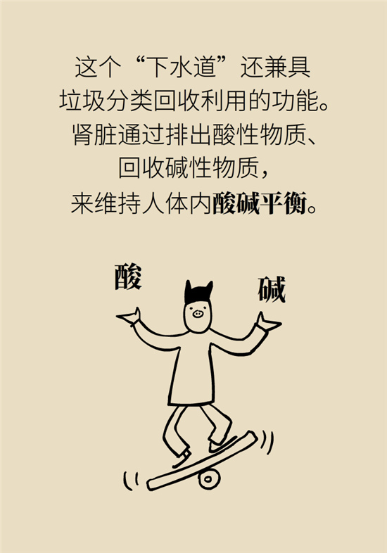 经常憋尿会得急性肾炎？