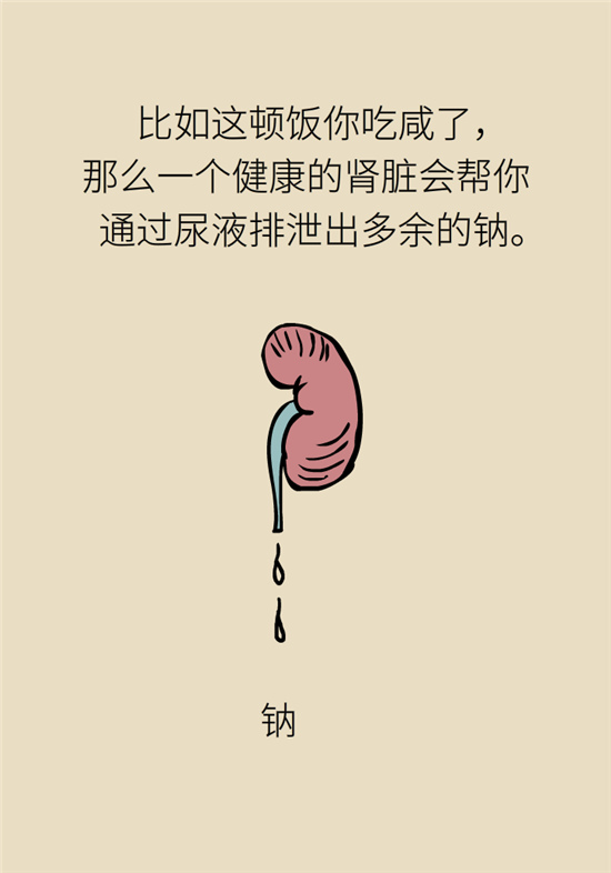 经常憋尿会得急性肾炎？
