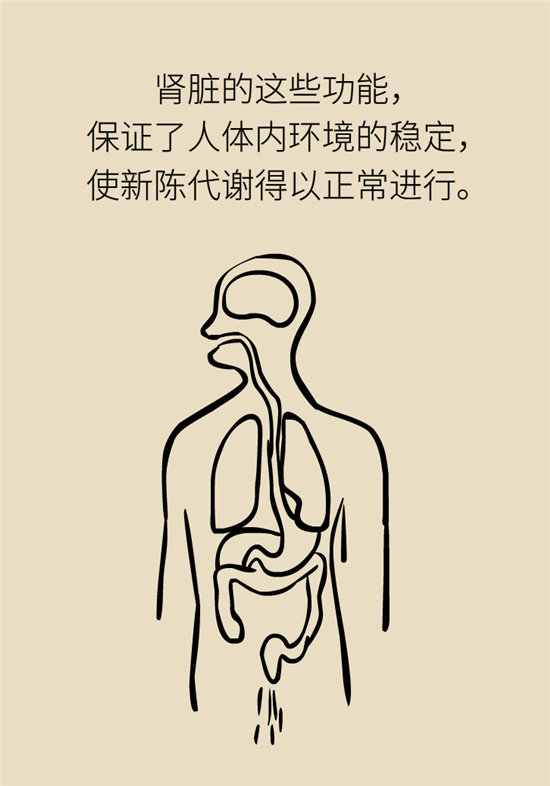 经常憋尿会得急性肾炎？