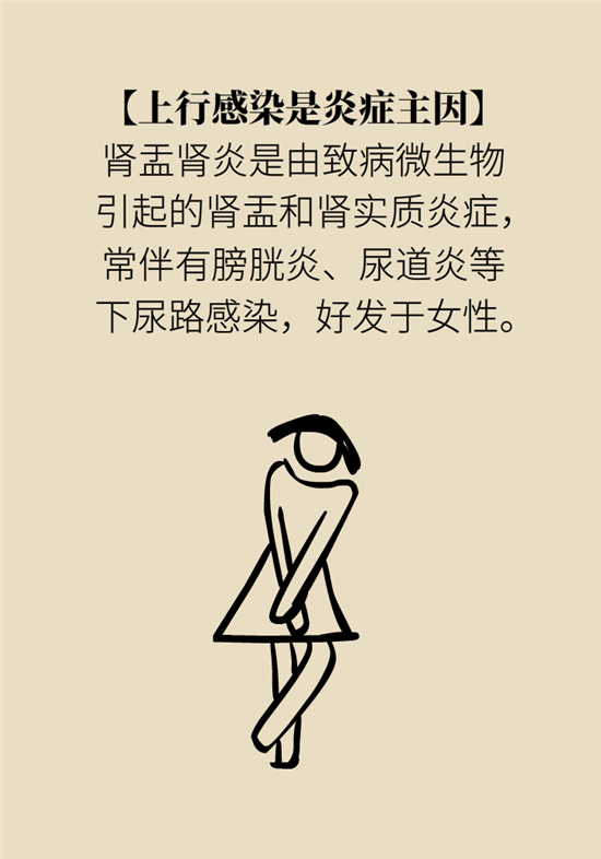 经常憋尿会得急性肾炎？