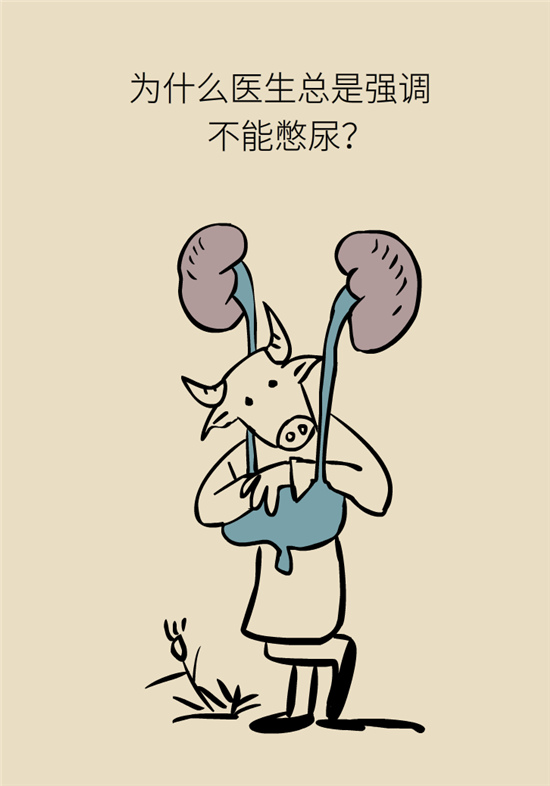 经常憋尿会得急性肾炎？