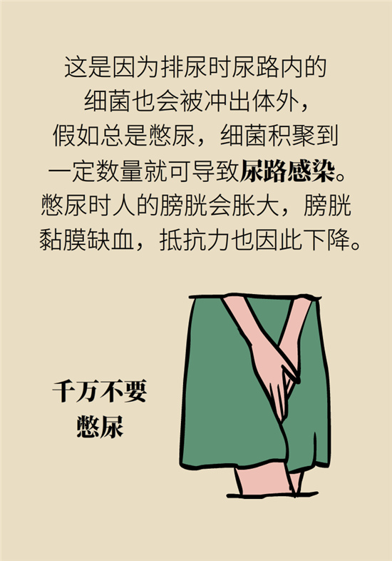经常憋尿会得急性肾炎？