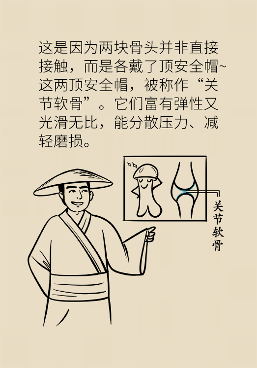 人老关节也会老吗？
