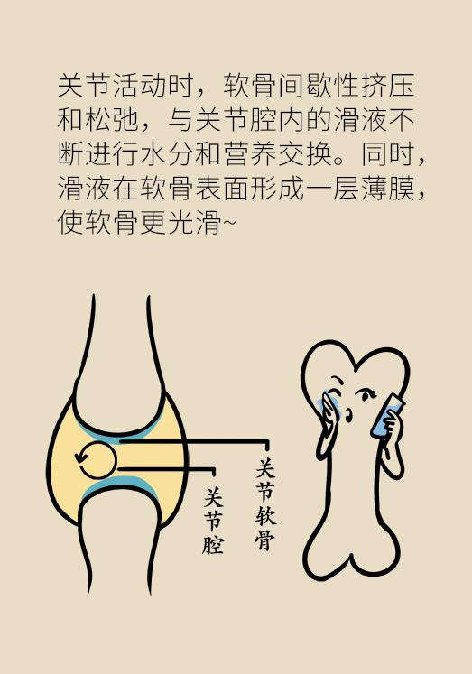 人老关节也会老吗？