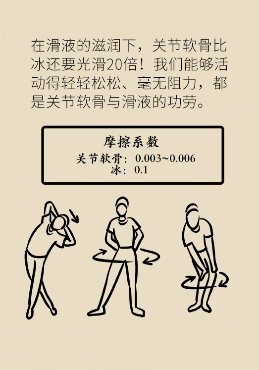 人老关节也会老吗？