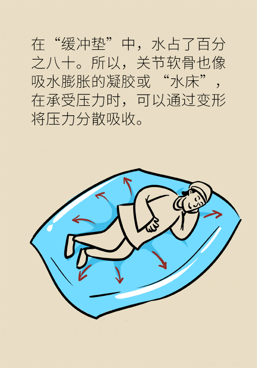 人老关节也会老吗？