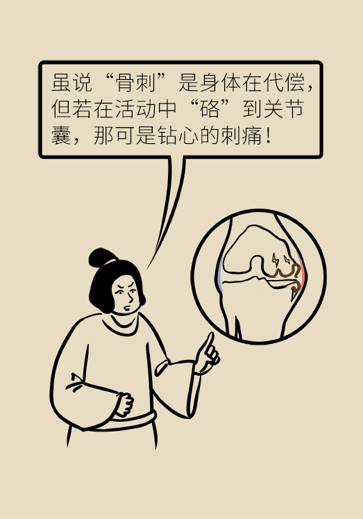 人老关节也会老吗？