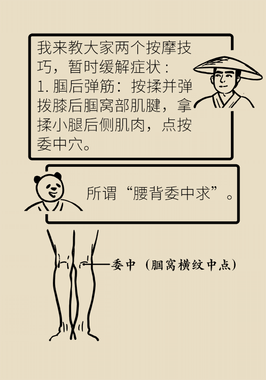 人老关节也会老吗？