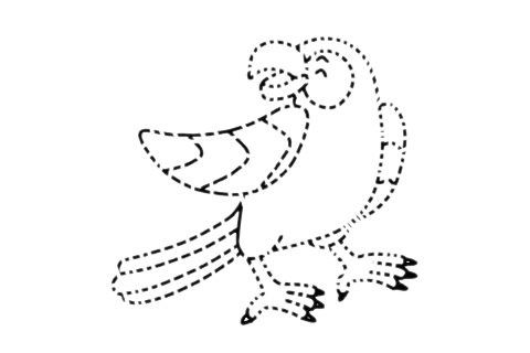 鹦鹉可以这样画,手绘鹦鹉的画法步骤教程 怎么画一只鹦鹉