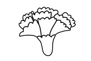 康乃馨 一笔一笔的教画康乃馨 康乃馨简单画法
