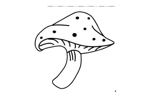 蘑菇 蘑菇简笔画图片