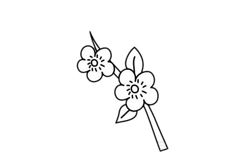 梅花 梅花简笔画图片