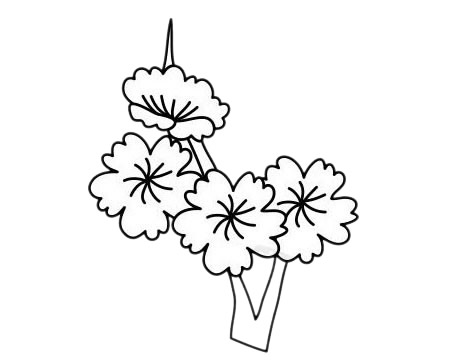梅花 梅花简笔画图片