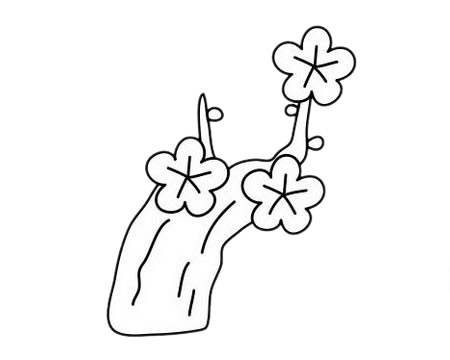 梅花 梅花简笔画图片