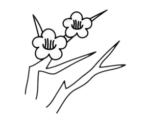 梅花 梅花简笔画图片