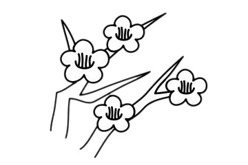 梅花 梅花简笔画怎么画步骤图解