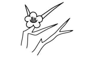 梅花 梅花简笔画怎么画步骤图解