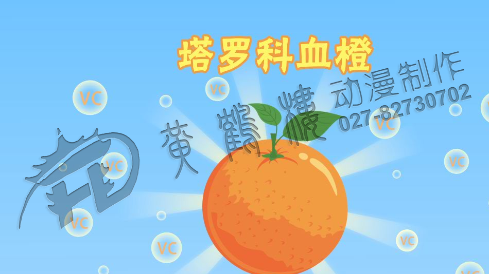 三峡血橙原画分镜头设计0004.png