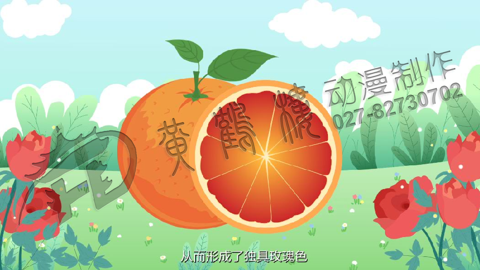 三峡血橙原画分镜头设计0009.png