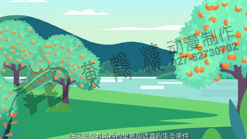 三峡血橙原画分镜头设计0008.png