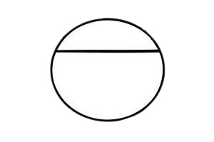 七星瓢虫 七星瓢虫简笔画图片