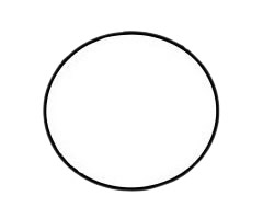 七星瓢虫 七星瓢虫简笔画图片