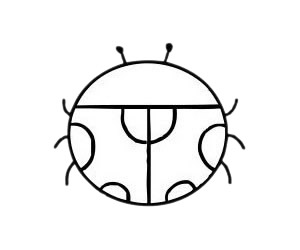 七星瓢虫 七星瓢虫简笔画图片