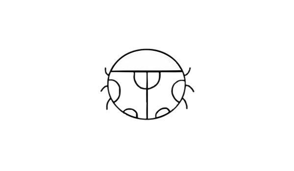 七星瓢虫 七星瓢虫简笔画图片